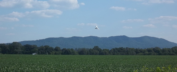 weisner-mountain